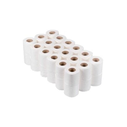 Bulk Pack Toilet Tissue x36